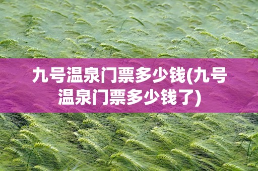 九号温泉门票多少钱(九号温泉门票多少钱了)