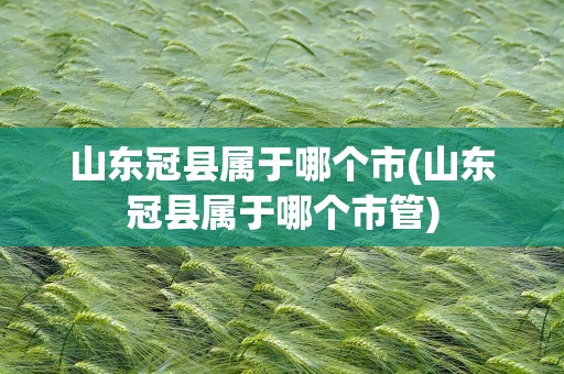 山东冠县属于哪个市(山东冠县属于哪个市管)