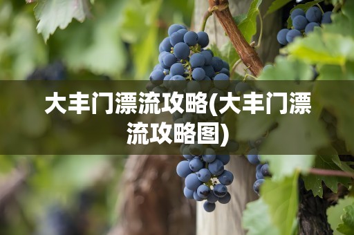 大丰门漂流攻略(大丰门漂流攻略图)
