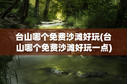 台山哪个免费沙滩好玩(台山哪个免费沙滩好玩一点)