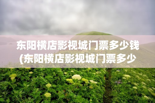 东阳横店影视城门票多少钱(东阳横店影视城门票多少钱一张)