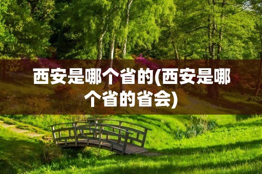 西安是哪个省的(西安是哪个省的省会)