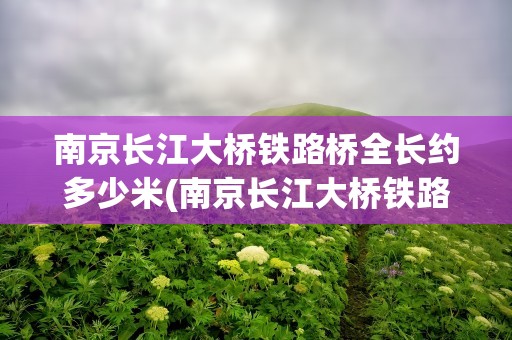 南京长江大桥铁路桥全长约多少米(南京长江大桥铁路桥全长约多少米长)