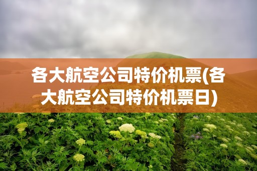 各大航空公司特价机票(各大航空公司特价机票日)