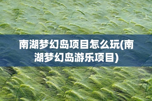 南湖梦幻岛项目怎么玩(南湖梦幻岛游乐项目)
