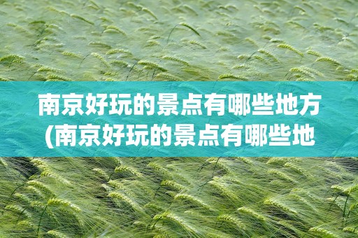 南京好玩的景点有哪些地方(南京好玩的景点有哪些地方推荐)