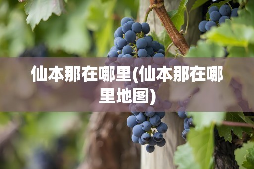 仙本那在哪里(仙本那在哪里地图)
