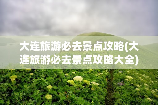 大连旅游必去景点攻略(大连旅游必去景点攻略大全)