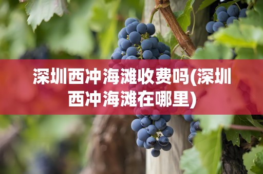 深圳西冲海滩收费吗(深圳西冲海滩在哪里)