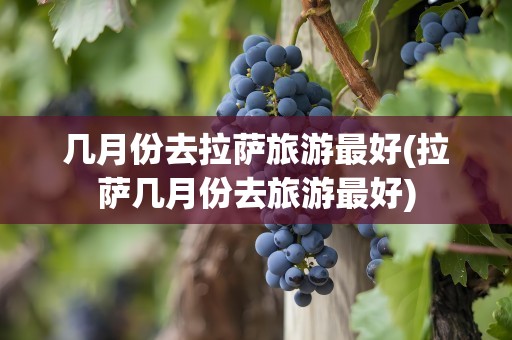 几月份去拉萨旅游最好(拉萨几月份去旅游最好)