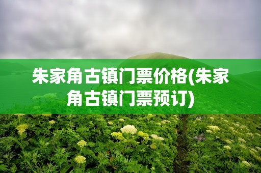 朱家角古镇门票价格(朱家角古镇门票预订)