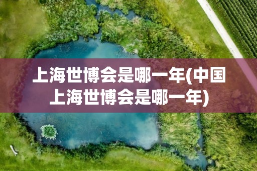 上海世博会是哪一年(中国上海世博会是哪一年)