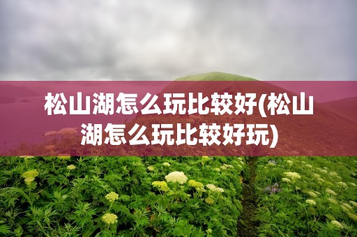 松山湖怎么玩比较好(松山湖怎么玩比较好玩)