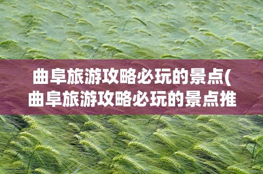 曲阜旅游攻略必玩的景点(曲阜旅游攻略必玩的景点推荐)