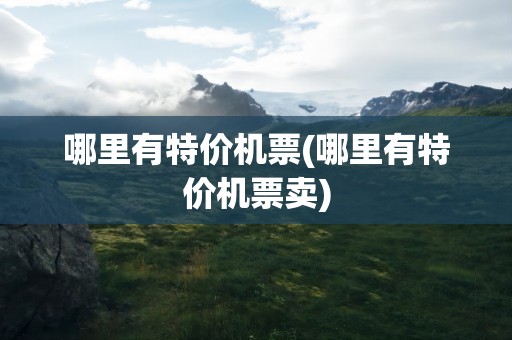 哪里有特价机票(哪里有特价机票卖)
