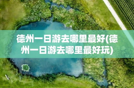 德州一日游去哪里最好(德州一日游去哪里最好玩)