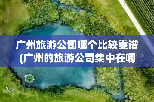 广州旅游公司哪个比较靠谱(广州的旅游公司集中在哪里)