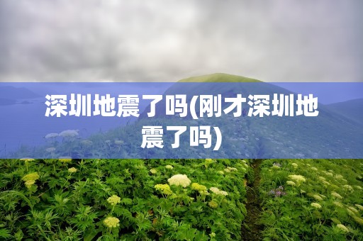 深圳地震了吗(刚才深圳地震了吗)