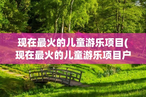 现在最火的儿童游乐项目(现在最火的儿童游乐项目户外)