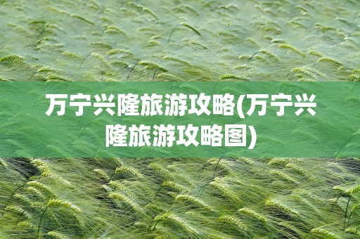 万宁兴隆旅游攻略(万宁兴隆旅游攻略图)