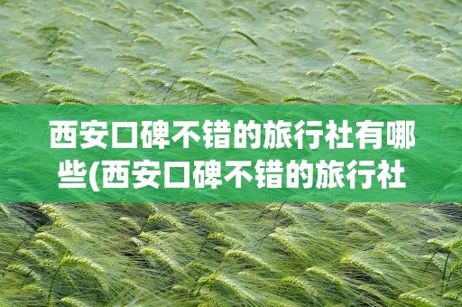 西安口碑不错的旅行社有哪些(西安口碑不错的旅行社有哪些呢)