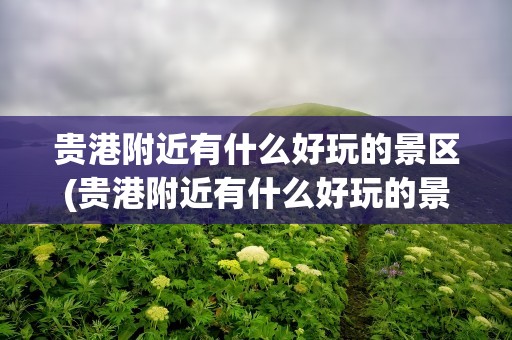 贵港附近有什么好玩的景区(贵港附近有什么好玩的景区吗)