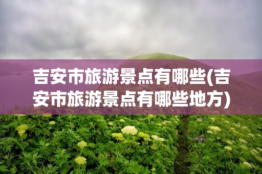 吉安市旅游景点有哪些(吉安市旅游景点有哪些地方)