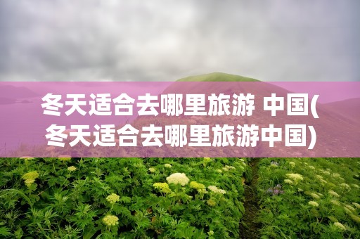 冬天适合去哪里旅游 中国(冬天适合去哪里旅游中国)