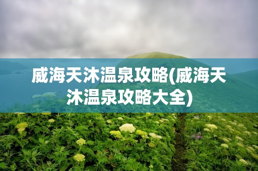 威海天沐温泉攻略(威海天沐温泉攻略大全)