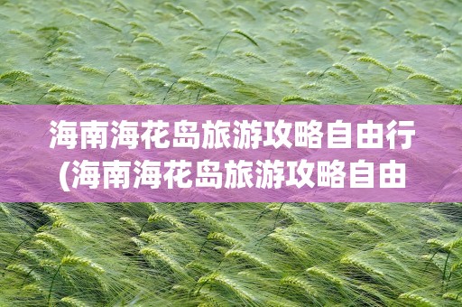 海南海花岛旅游攻略自由行(海南海花岛旅游攻略自由行路线)