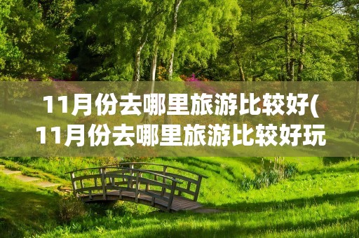 11月份去哪里旅游比较好(11月份去哪里旅游比较好玩)