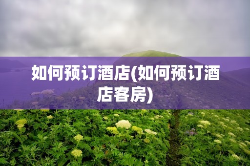 如何预订酒店(如何预订酒店客房)
