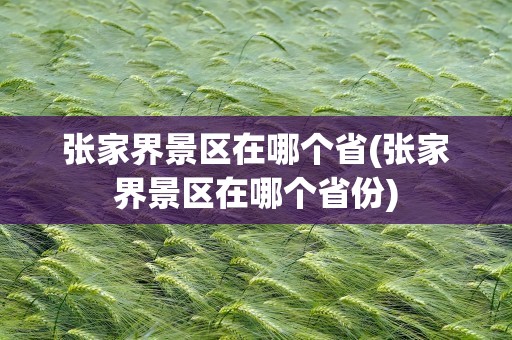 张家界景区在哪个省(张家界景区在哪个省份)