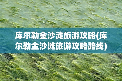 库尔勒金沙滩旅游攻略(库尔勒金沙滩旅游攻略路线)