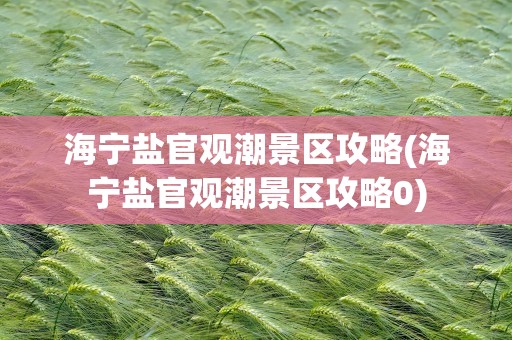 海宁盐官观潮景区攻略(海宁盐官观潮景区攻略0)