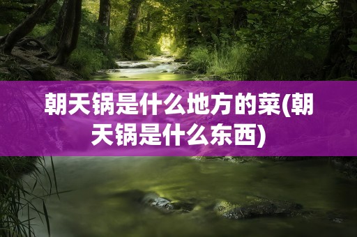 朝天锅是什么地方的菜(朝天锅是什么东西)