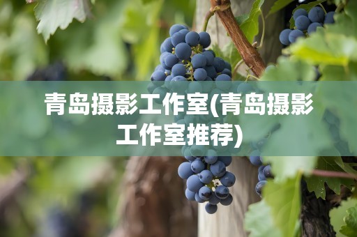 青岛摄影工作室(青岛摄影工作室推荐)