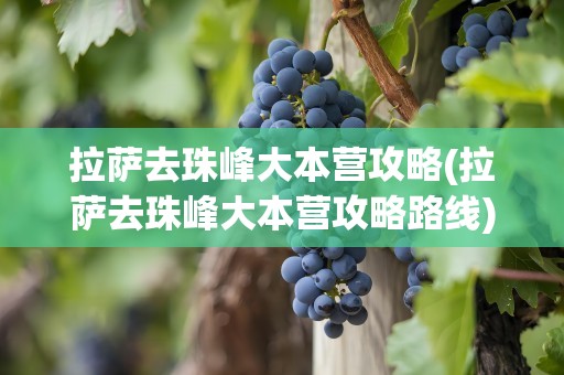 拉萨去珠峰大本营攻略(拉萨去珠峰大本营攻略路线)