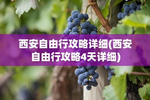 西安自由行攻略详细(西安自由行攻略4天详细)