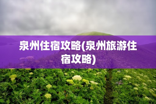 泉州住宿攻略(泉州旅游住宿攻略)