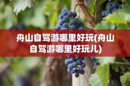 舟山自驾游哪里好玩(舟山自驾游哪里好玩儿)