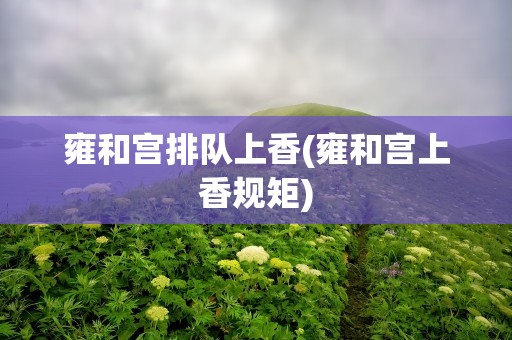 雍和宫排队上香(雍和宫上香规矩)