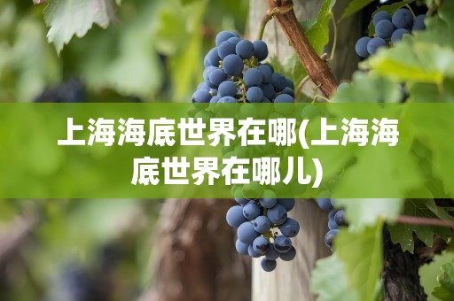 上海海底世界在哪(上海海底世界在哪儿)