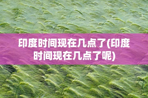 印度时间现在几点了(印度时间现在几点了呢)
