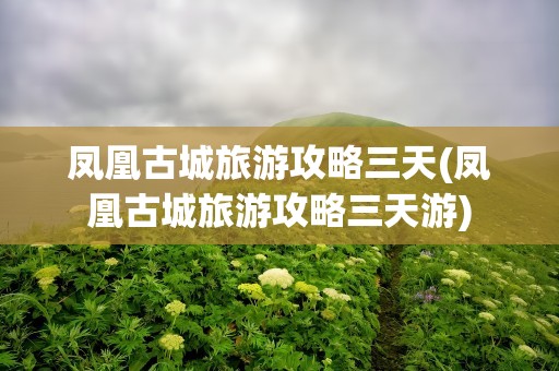 凤凰古城旅游攻略三天(凤凰古城旅游攻略三天游)