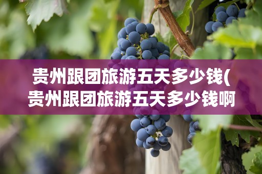 贵州跟团旅游五天多少钱(贵州跟团旅游五天多少钱啊)