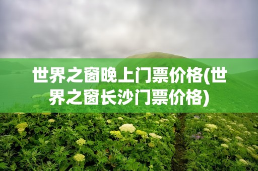 世界之窗晚上门票价格(世界之窗长沙门票价格)
