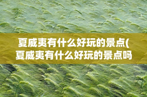 夏威夷有什么好玩的景点(夏威夷有什么好玩的景点吗)