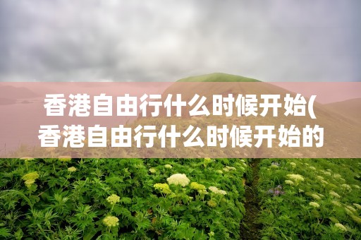 香港自由行什么时候开始(香港自由行什么时候开始的)
