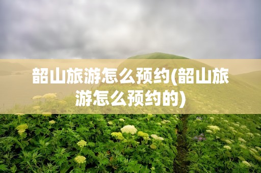 韶山旅游怎么预约(韶山旅游怎么预约的)